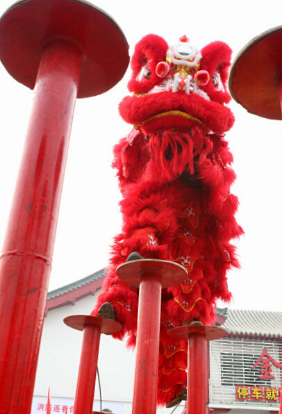 龙狮共舞