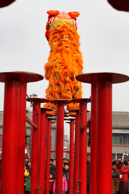 龙狮共舞