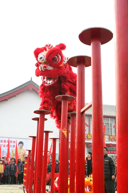 龙狮共舞