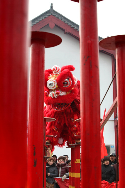 龙狮共舞