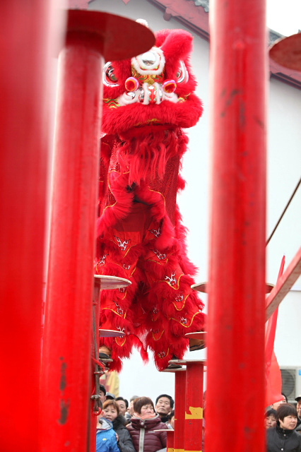 龙狮共舞