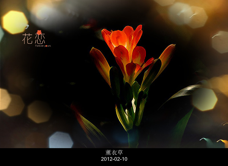 花恋