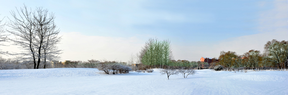春雪落燕野