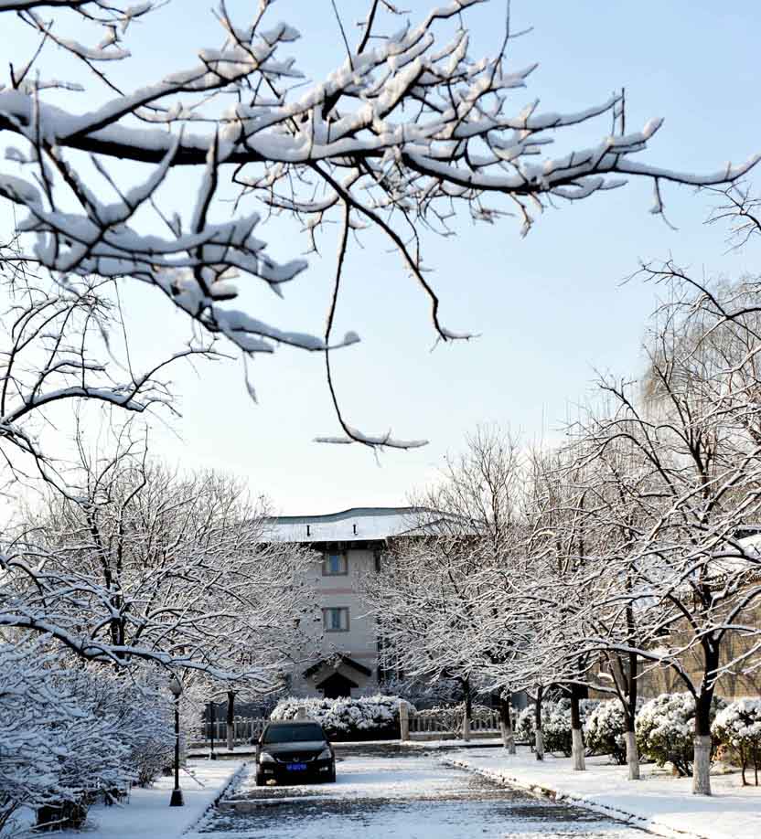 春雪落燕野