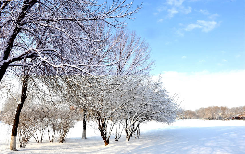 春雪落燕野（2）