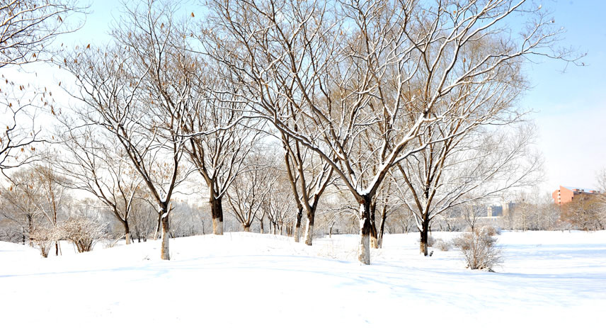 春雪落燕野（2）