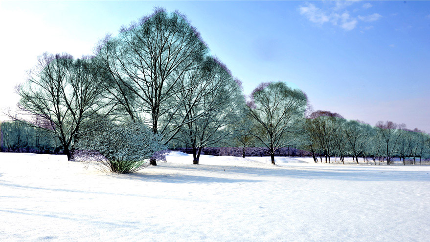 春雪落燕野（2）