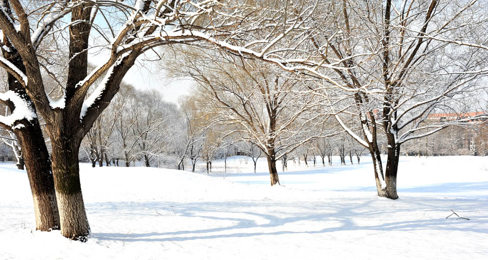 春雪落燕野（2）