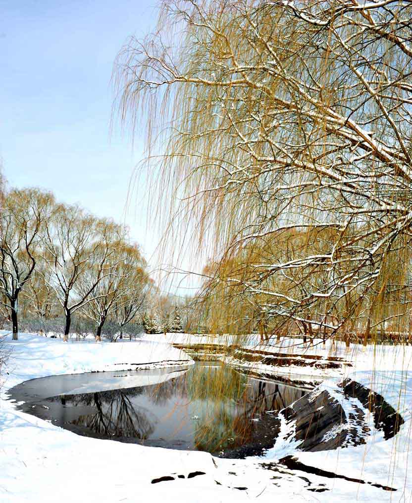 春雪落燕野（2）