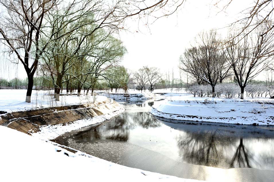 春雪落燕野（2）