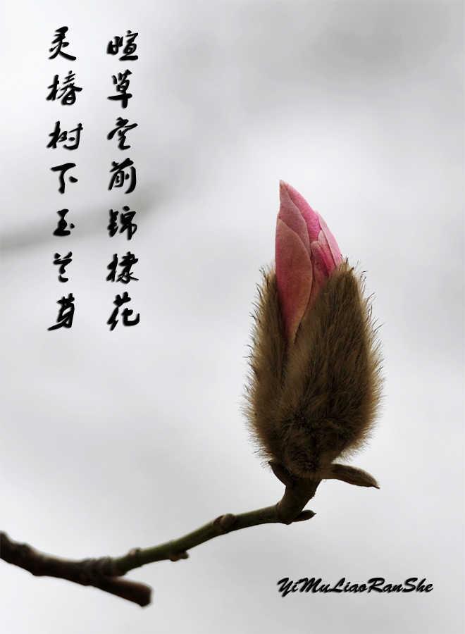 春之序曲