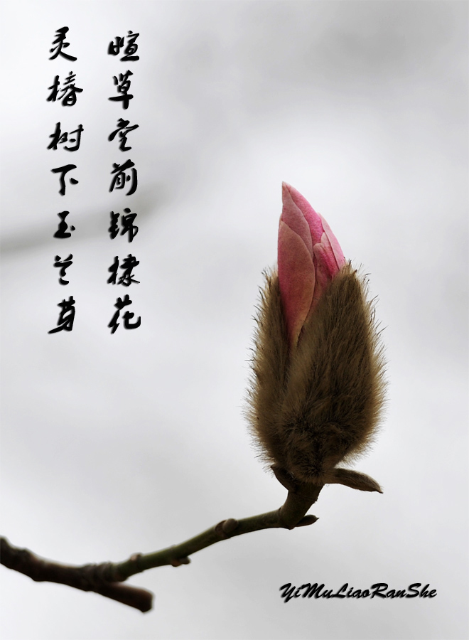 春之序曲