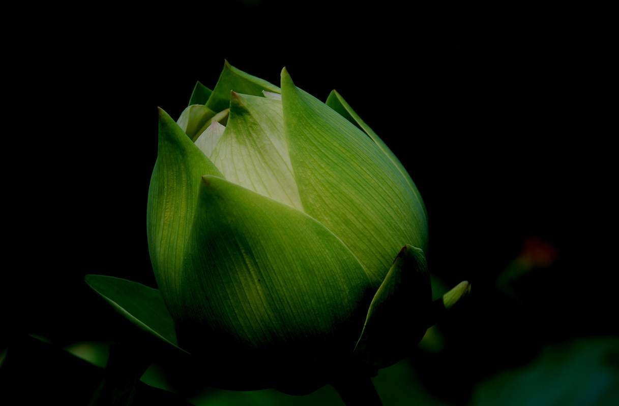 [原创]又见玉姬