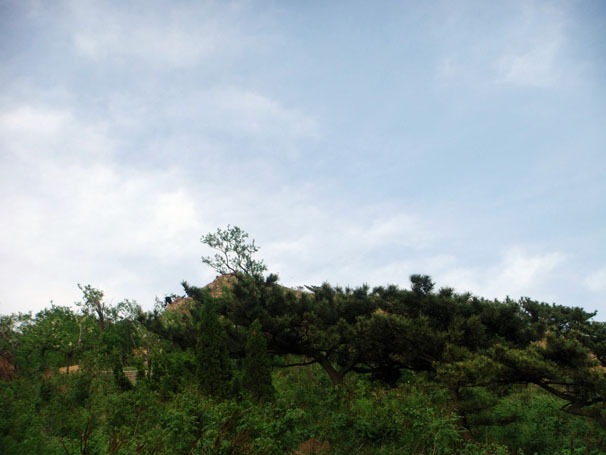 青岛十梅庵风景