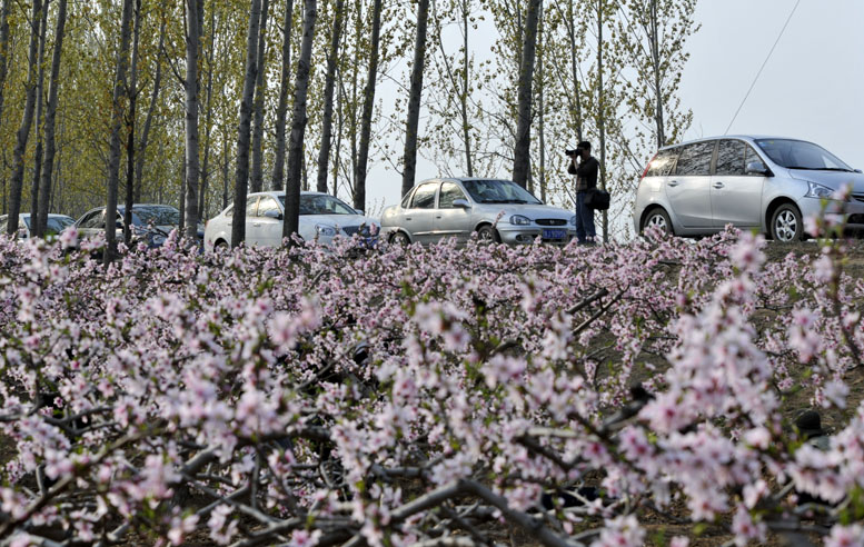 2012内黄采风花絮