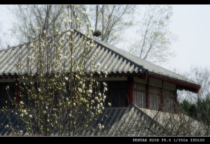[原创]狗头随拍---戚城风光