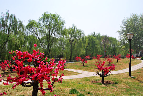 河畔小景