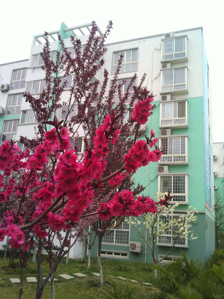 一路风光