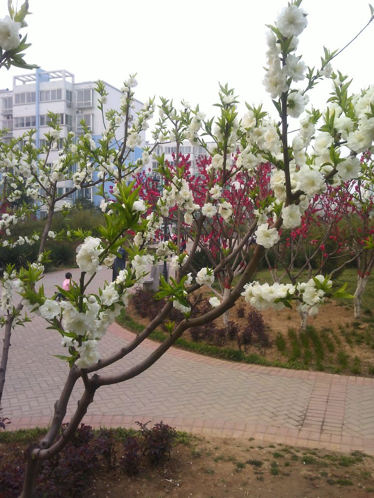 一路风光