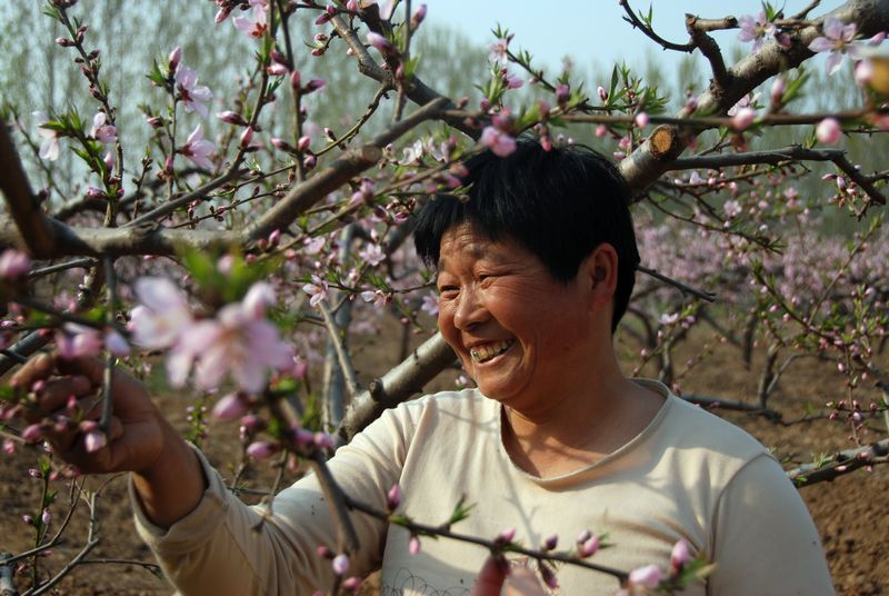 花恋