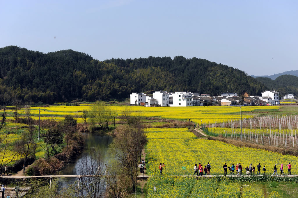 江西、安徽采风系列片