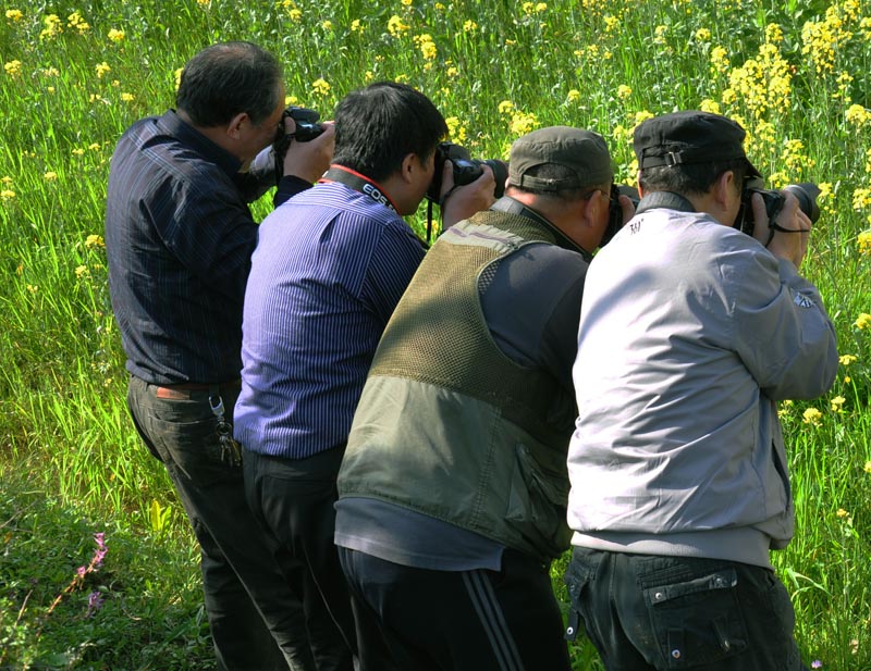 江西婺源采风花絮