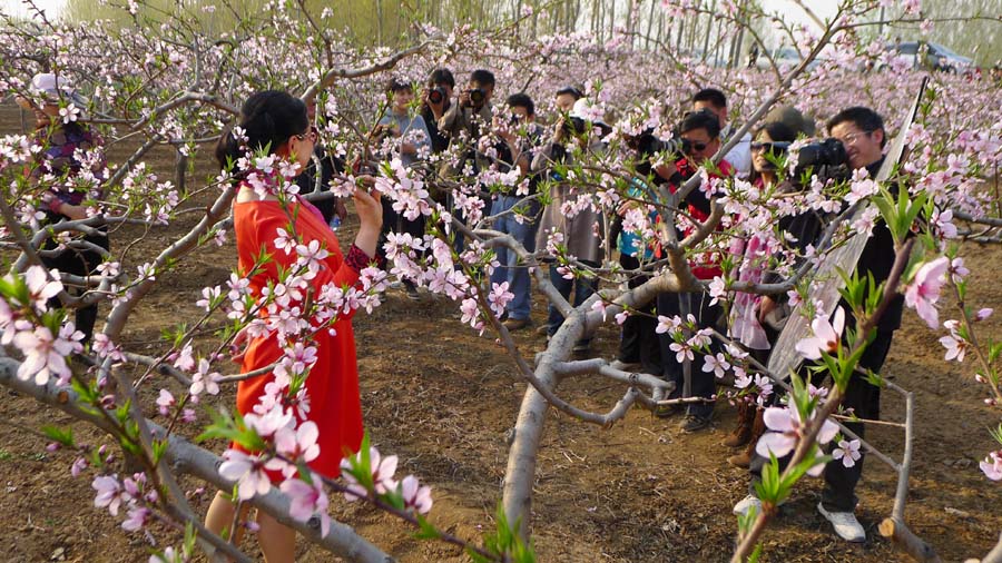 2012内黄采风花絮