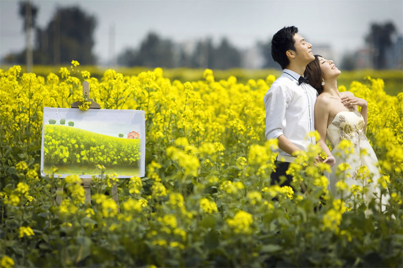 濮阳巴黎婚纱摄影最新外景照