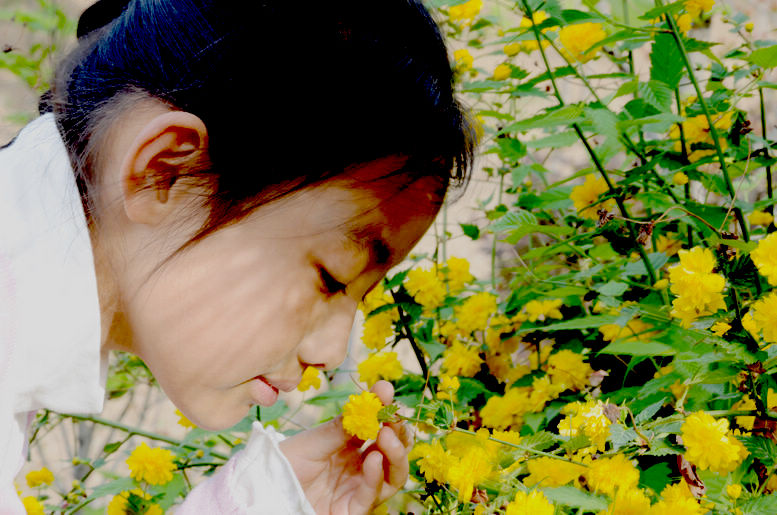 花朵