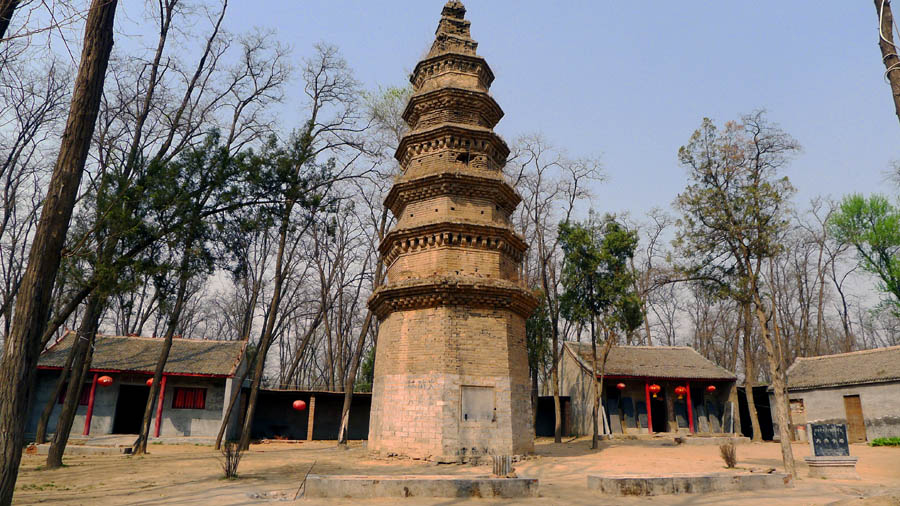 大兴寺万亩槐树林