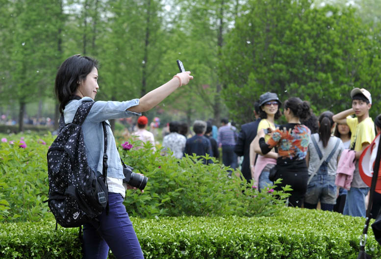 花开时节看花都