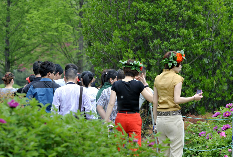 花开时节看花都
