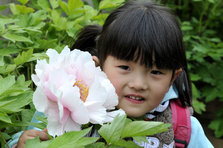 花开时节看花都
