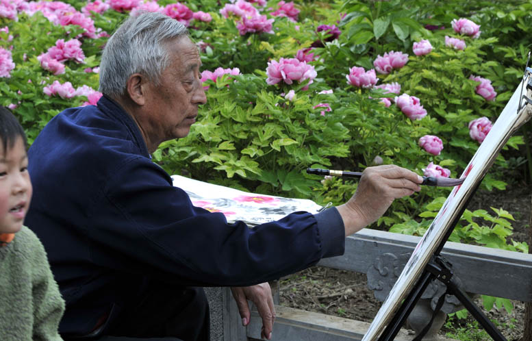 花开时节看花都