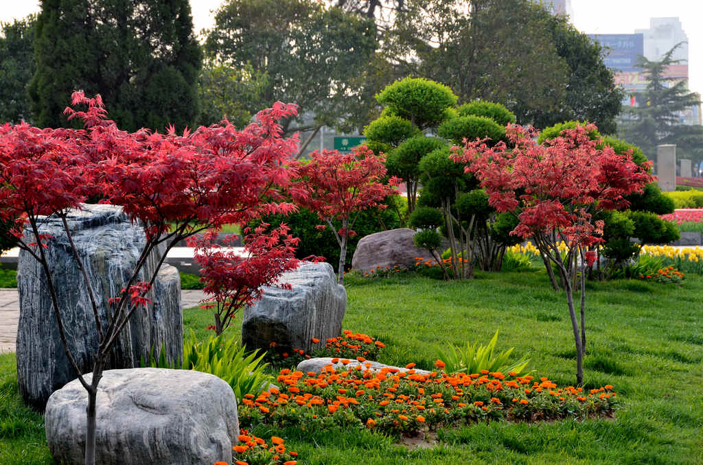 小景