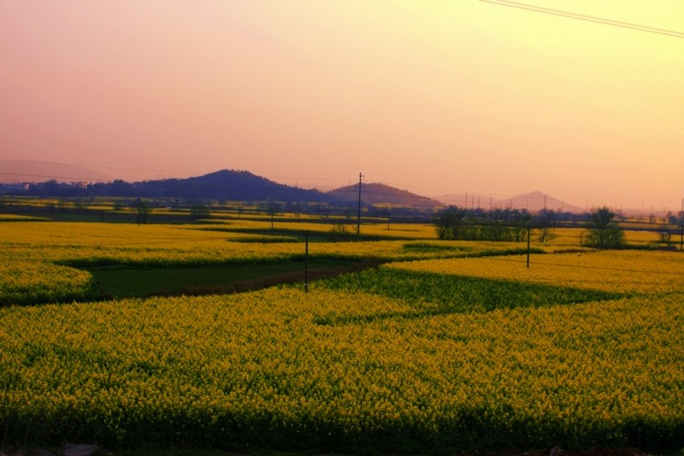一路花香