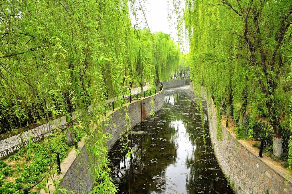 油城春色