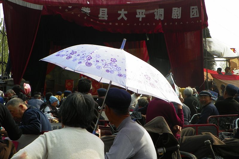 二帝陵前长大戏