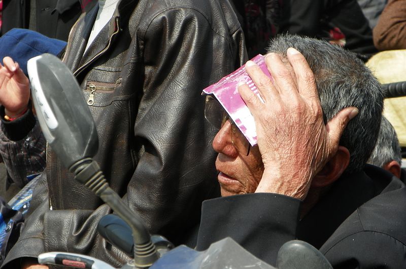 二帝陵前长大戏