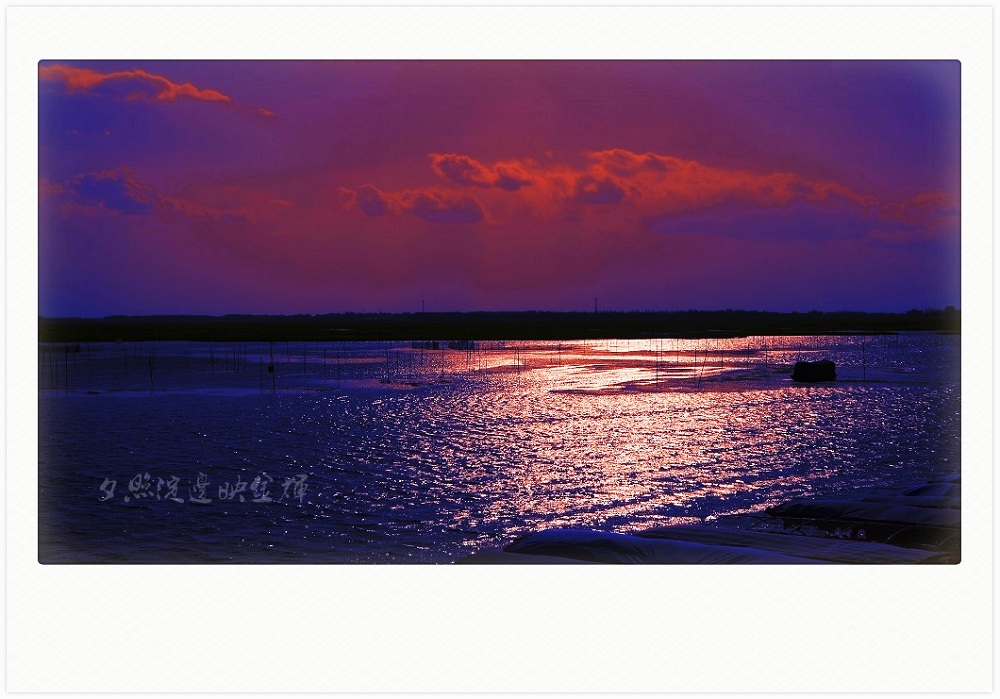 [原创]夕照淀边映金辉
