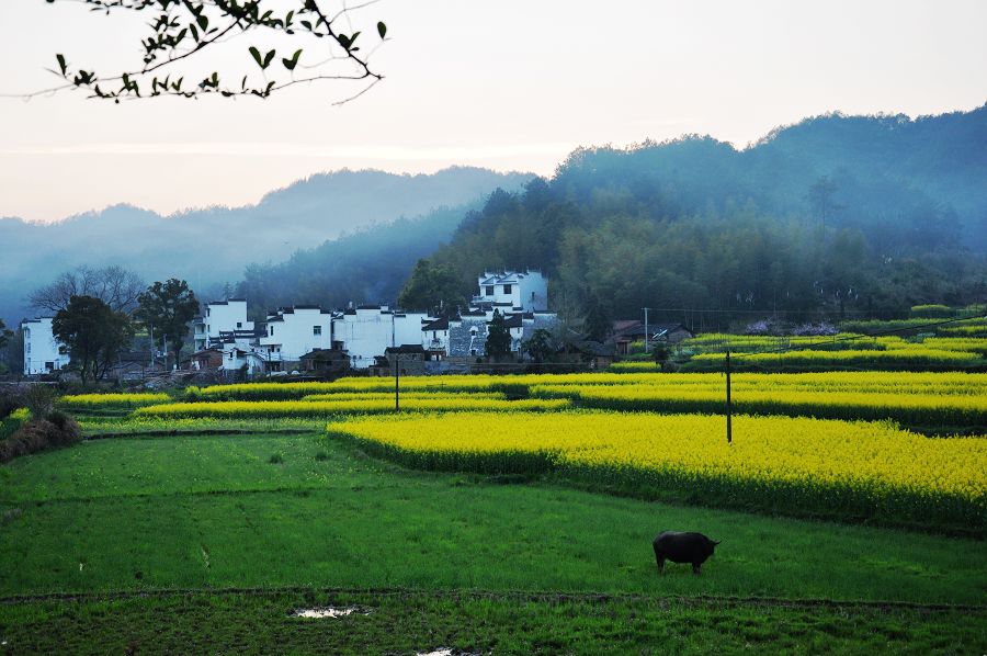 美丽乡村婺源