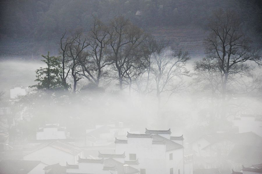 美丽乡村婺源