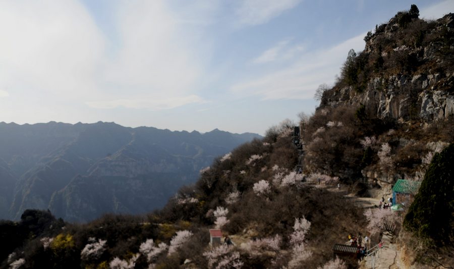 神农山摄影作品选