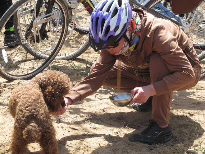 骑行南乐西邵看杏花