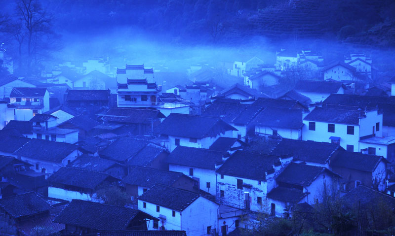 在婺源，在花海，在路上