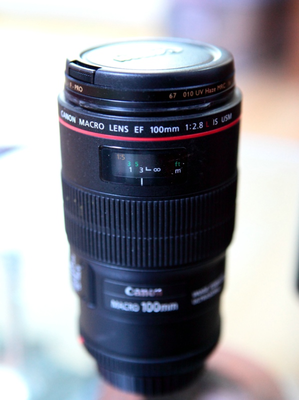 佳能 9.9新EF 100mm f/2.8L IS USM 镜头 带B+WUV镜