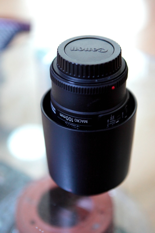 佳能 9.9新EF 100mm f/2.8L IS USM 镜头 带B+WUV镜