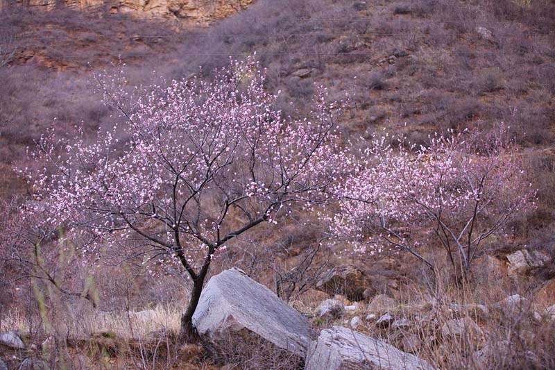游太行大峡谷随拍