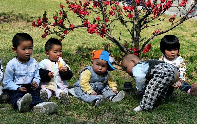 婺源丽人