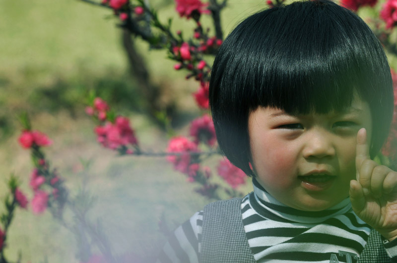 婺源丽人